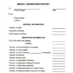 Marketing Weekly Report Template