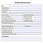 Marketing Weekly Report Template