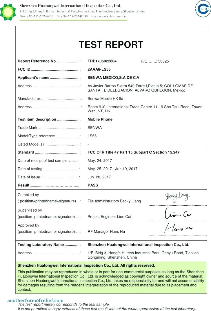 Megger Test Report Template TEMPLATES EXAMPLE