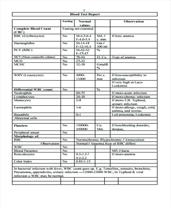 Megger Test Report Template TEMPLATES EXAMPLE