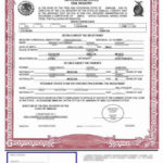 Mexican Birth Certificate Translation Template