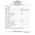 Mexican Birth Certificate Translation Template