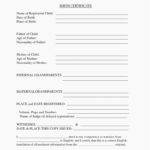 Mexican Birth Certificate Translation Template
