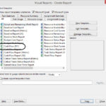 Ms Project 2013 Report Templates