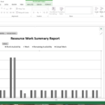 Ms Project 2013 Report Templates