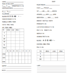 Nurse Shift Report Sheet Template