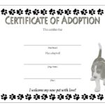 Pet Adoption Certificate Template