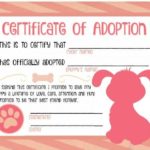 Pet Adoption Certificate Template