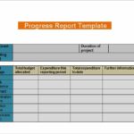 Project Daily Status Report Template