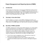 Project Management Final Report Template