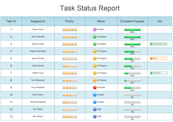 Project Status Report Dashboard Template