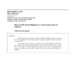 Rapporteur Report Template