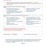 Rapporteur Report Template