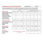 Sales Management Report Template