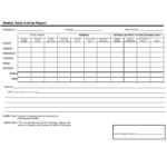 Sales Representative Report Template