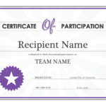 Sample Certificate Of Participation Template