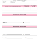 Section 37 Report Template