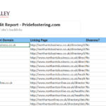 Seo Monthly Report Template