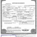 Spanish To English Birth Certificate Translation Template