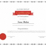 Templates For Certificates Of Participation