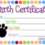 Toy Adoption Certificate Template