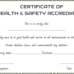 Veterinary Health Certificate Template