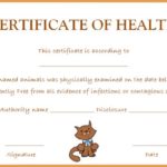 Veterinary Health Certificate Template