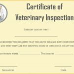 Veterinary Health Certificate Template