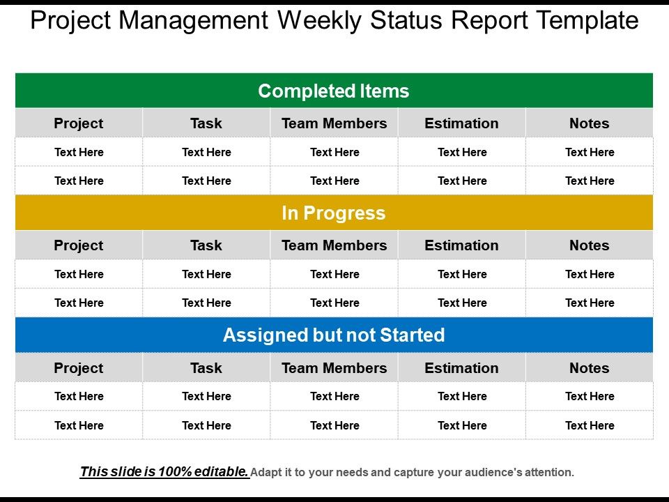 Weekly Progress Report Template Project Management