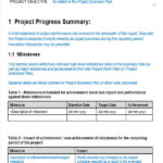 Weekly Progress Report Template Project Management