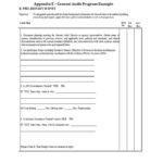 Audit Findings Report Template