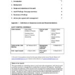 Audit Findings Report Template