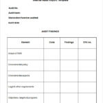 Audit Findings Report Template