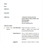 Audit Findings Report Template