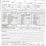 Baseball Scouting Report Template