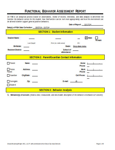 Behaviour Report Template