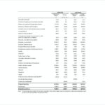 Capital Expenditure Report Template