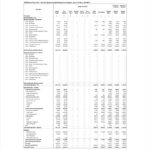 Capital Expenditure Report Template