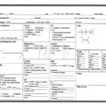 Charge Nurse Report Sheet Template