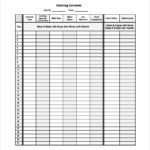 Cleaning Report Template