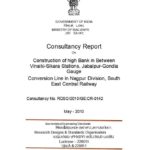 Consultant Report Template