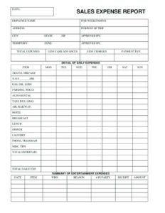 Daily Expense Report Template (2) - TEMPLATES EXAMPLE | TEMPLATES EXAMPLE