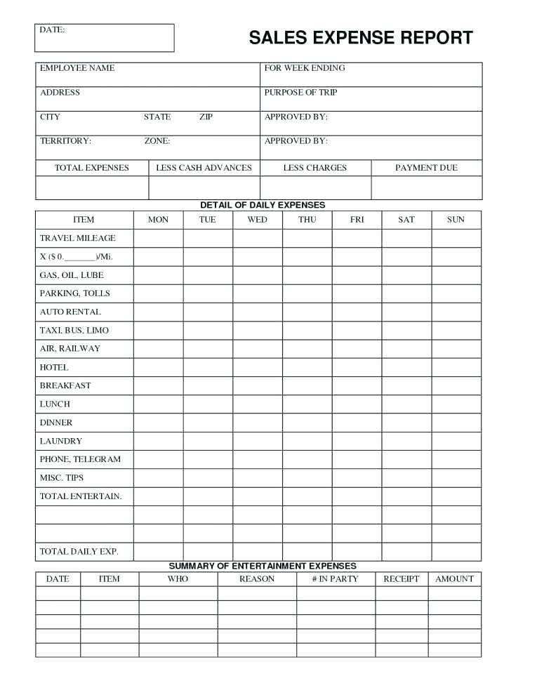 Daily Expense Report Template