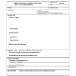 Daily Inspection Report Template