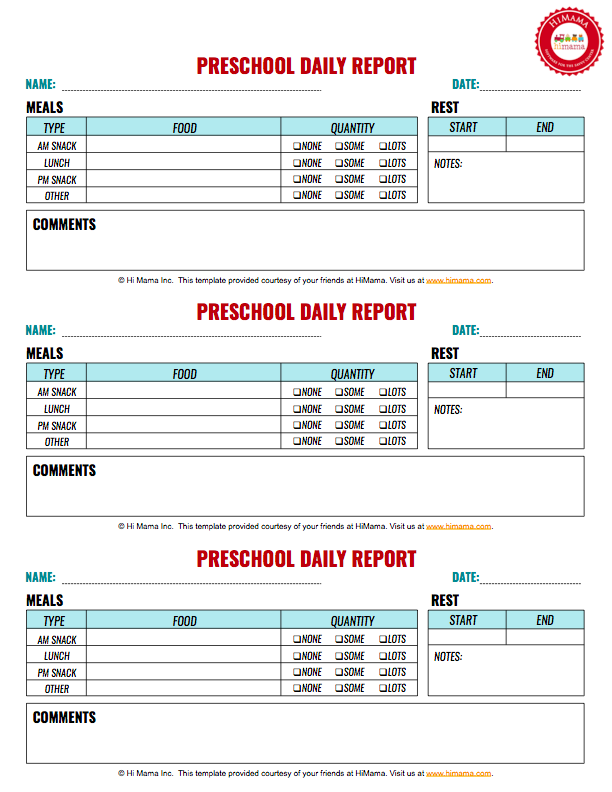 Daily Report Sheet Template