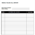 Daily Sales Call Report Template Free Download