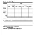 Daily Sales Call Report Template Free Download