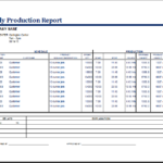 Daily Status Report Template Xls