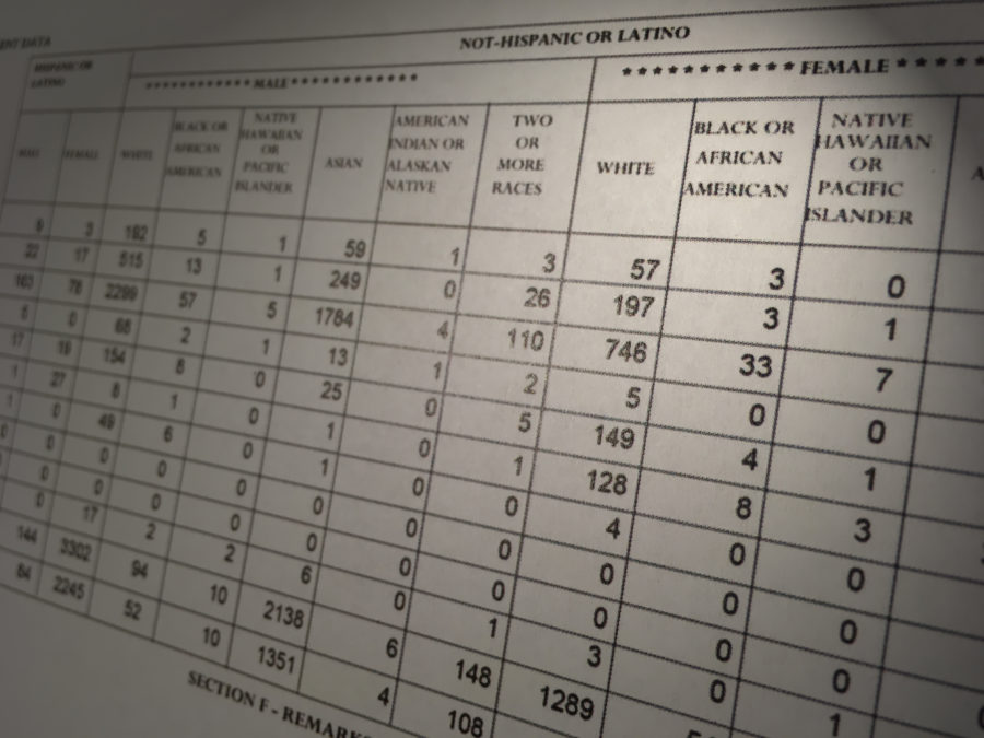 Eeo 1 Report Template