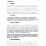 Expert Witness Report Template